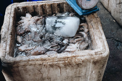 High angle view of fish for sale