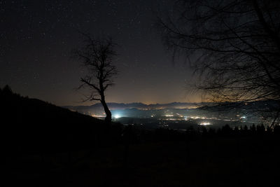 Silhouette of trees against sky at night