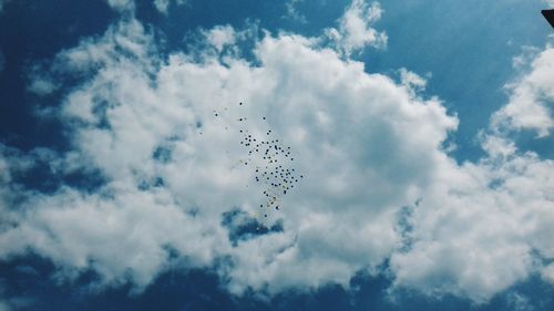 Low angle view of birds flying in sky