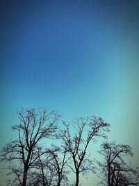 Low angle view of bare tree against clear blue sky