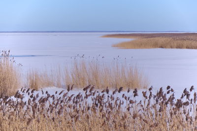 Scenic view of lake against sky