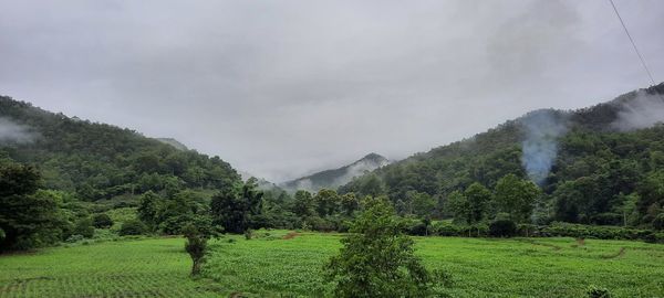 Scenic view of field against sky