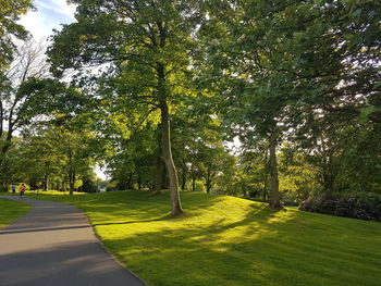 Scenic view of golf course against sky