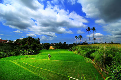 Scenic view of grassy field against cloudy sky