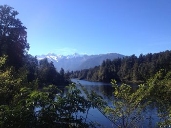 Scenic view of trees and mountains against clear blue sky