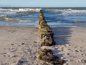 Driftwood on sand at beach against sky