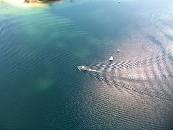 High angle view of swimming in sea