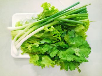 Close-up of salad in plate on table