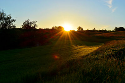 Scenic view of field against sky at sunset