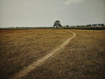 Scenic view of rural landscape