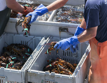 Midsection of man working at fish