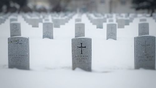 Close-up of cemetery