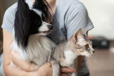 Midsection of woman holding cat