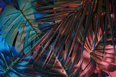 Full frame shot of multi colored feather