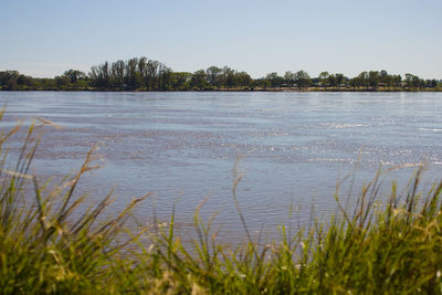 Scenic view of lake against clear sky