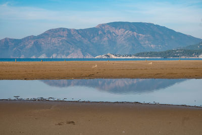 Scenic view of beach against sky