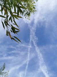 Low angle view of vapor trail against sky