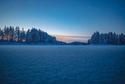 Trees on snow covered landscape against blue sky