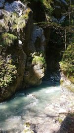 View of river flowing through forest