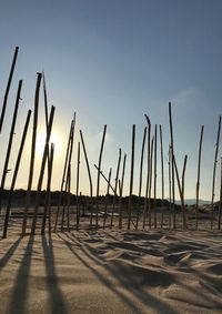 Silhouette wooden posts on beach against clear sky