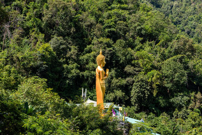 Statue amidst trees in forest