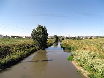 Scenic view of river amidst field against clear sky