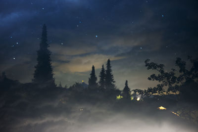 Night scene with coniferous trees under a cloudy starry sky and illuminated houses in the distance.