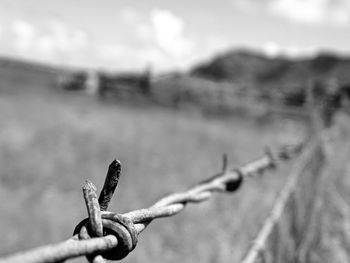 Extreme close up of barbed wire