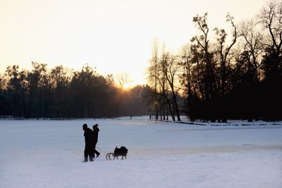 Silhouette of dog on snow covered landscape during sunset