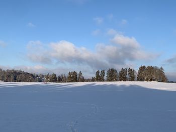 Trees on snow field against sky