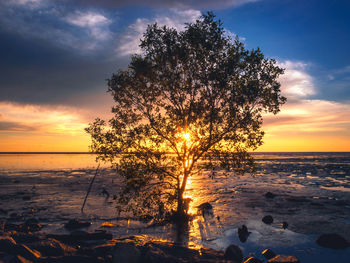 Scenic view of sea against sky during sunset