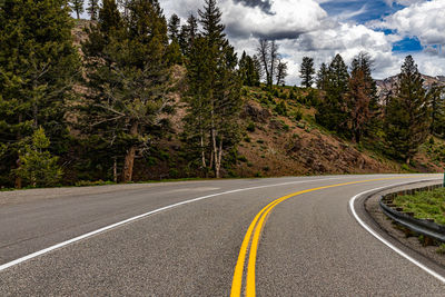 Road passing through forest