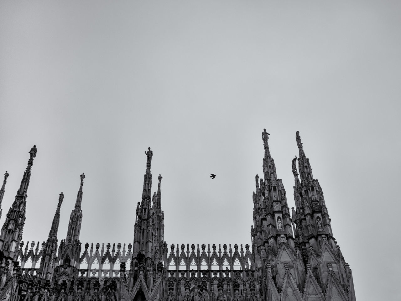 Guglielmo Oselladore