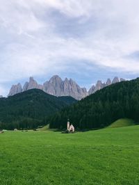 Scenic view of field against mountains