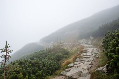 Scenic view of mountains against sky during foggy weather