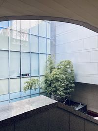 Modern building seen through glass window