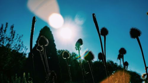 Low angle view of silhouette cactus against sky