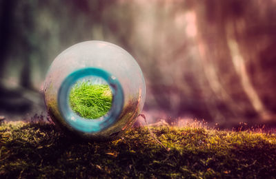 Close-up of ball on field