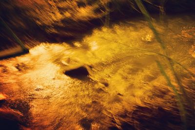 Low angle view of sunlight falling on land