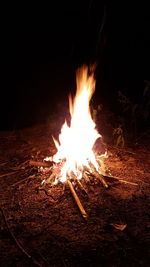 Close-up of bonfire at night