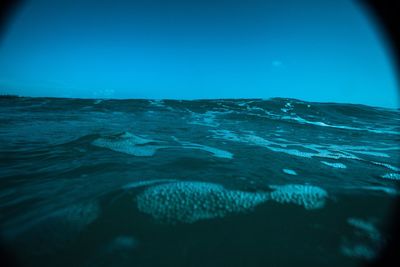 Scenic view of sea against clear blue sky