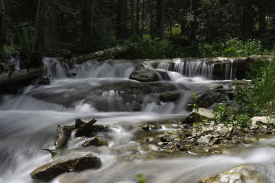 View of waterfall in forest