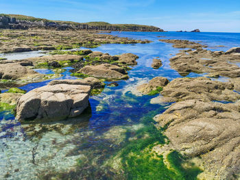 Scenic view of sea shore against sky
