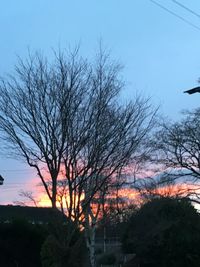 Low angle view of silhouette bare tree against sky at sunset