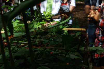 Group of people on leaves