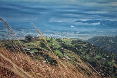 Scenic view of agricultural field against sky