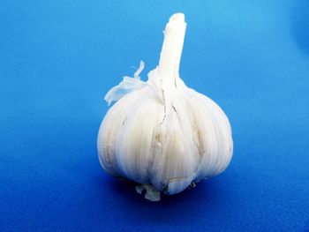 Close-up of white bell against blue background