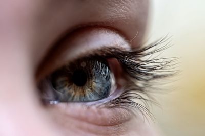 Close-up of human eye