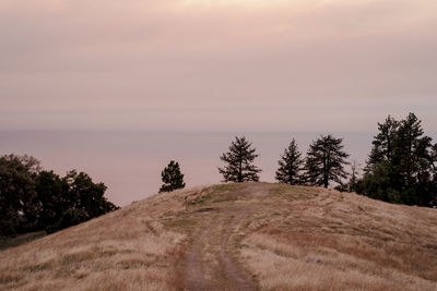 Hillside overlooking big sur coastline at sunset