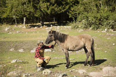 Male farmer stroking horse in field